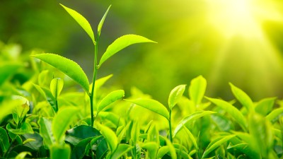 Maatschappelijk verantwoord ondernemen